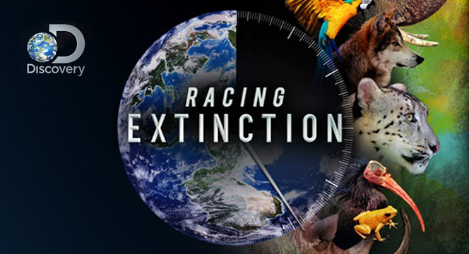 Racing extinction: attention grabbing but audiences need to be taken on  journeys of deeper understanding – Paul Jepson